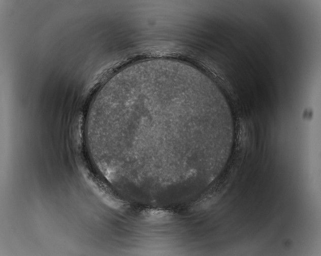 X0000115000590200911231206