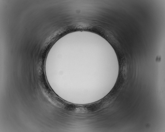 X0000115000591200911231206