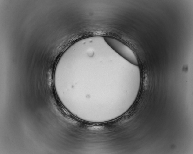 X0000115000594200911231206