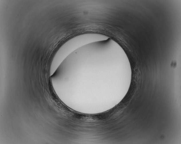 X0000115000597200911231206