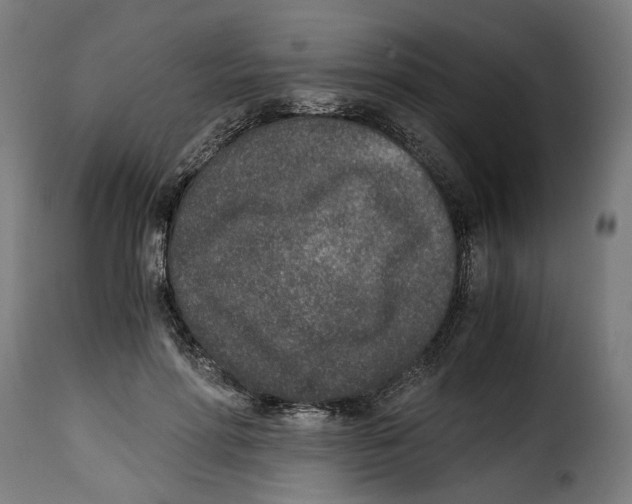 X0000115000598200911231206