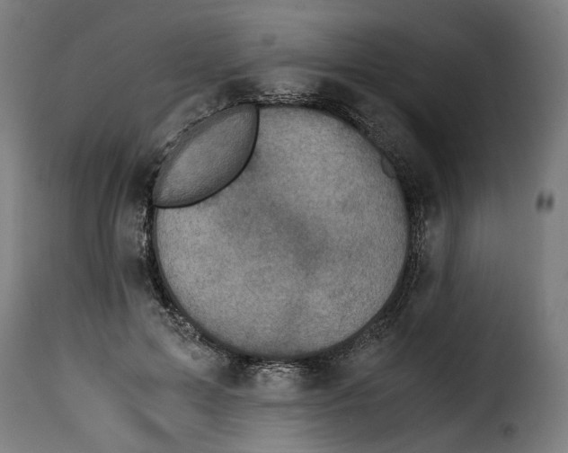 X0000115000599200911231206