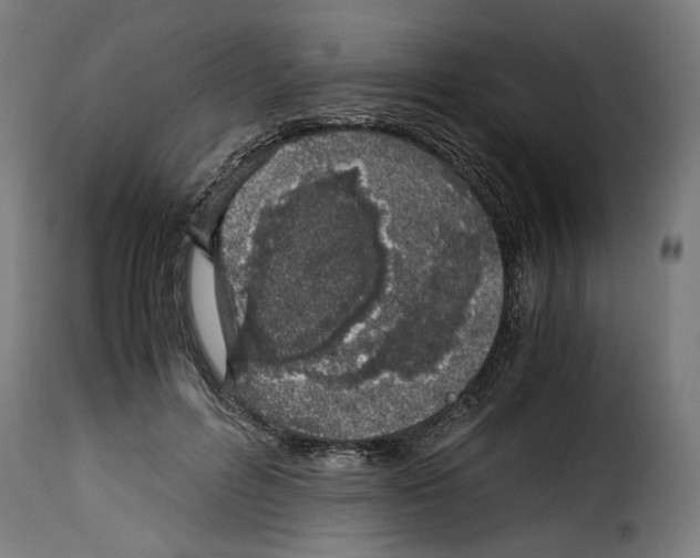 X0000115000600200911231206