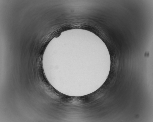 X0000115000601200911231206