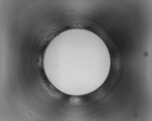 X0000115000602200911231206