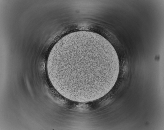 X0000115000603200911231206