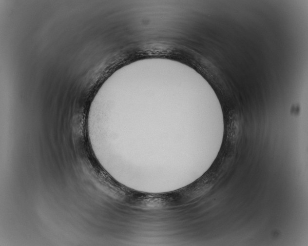 X0000115000604200911231206