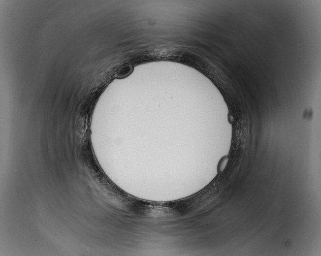 X0000115000605200911231206