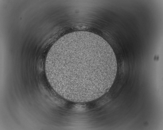 X0000115000606200911231206