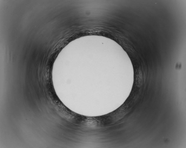 X0000115000608200911231206