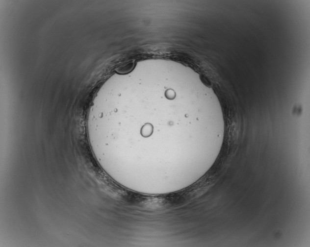 X0000115000609200911231206