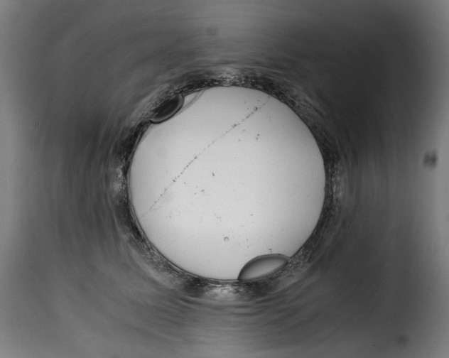 X0000115000611200911231206