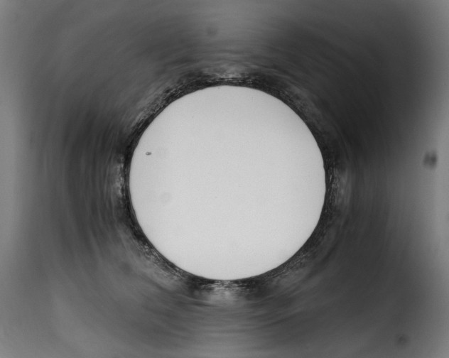 X0000115000612200911231206