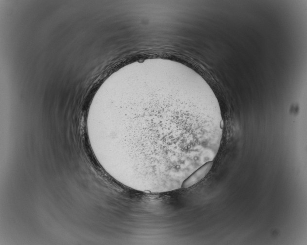 X0000115000613200911231206