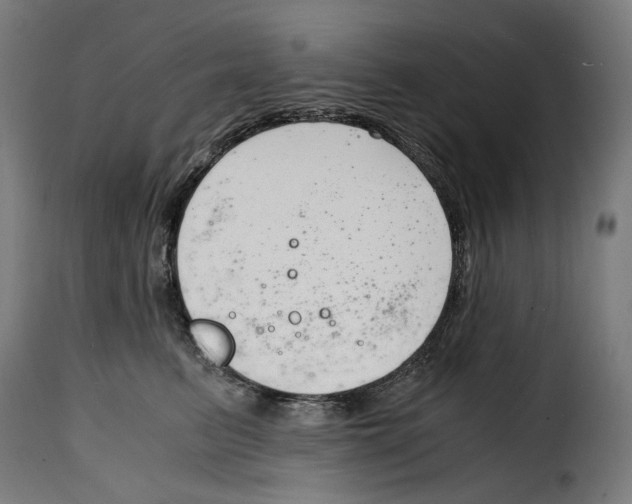 X0000115000615200911231206