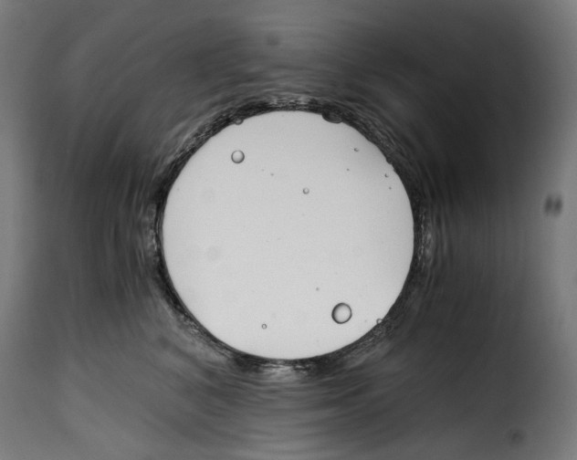 X0000115000616200911231206