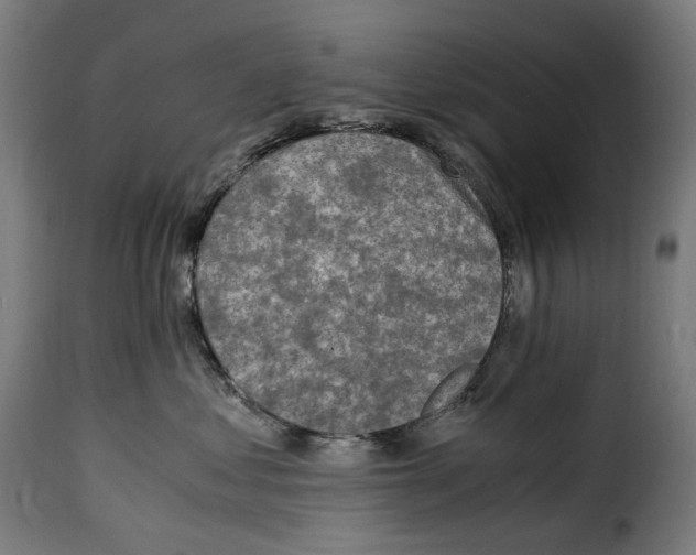 X0000115000621200911231206