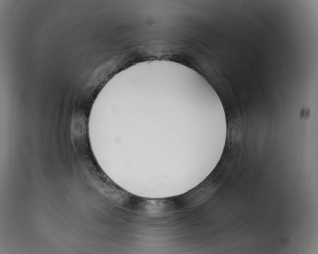 X0000115000623200911231206