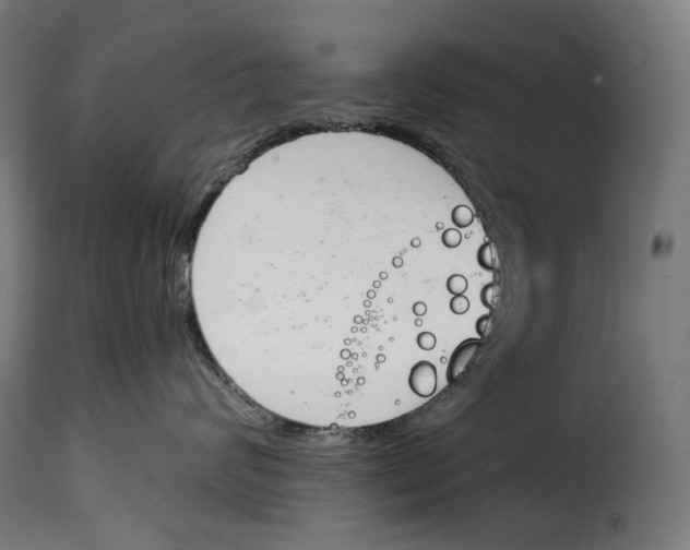 X0000115000624200911231206