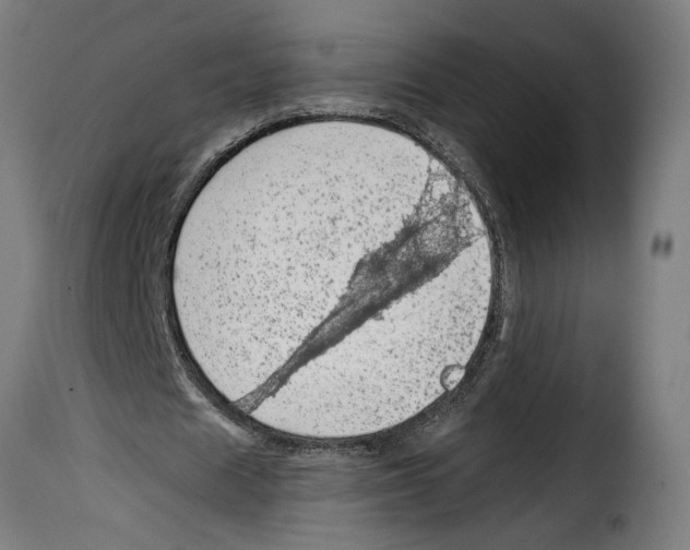 X0000115000625200911231205