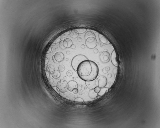 X0000115000626200911231205