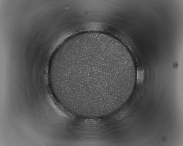 X0000115000627200911231205