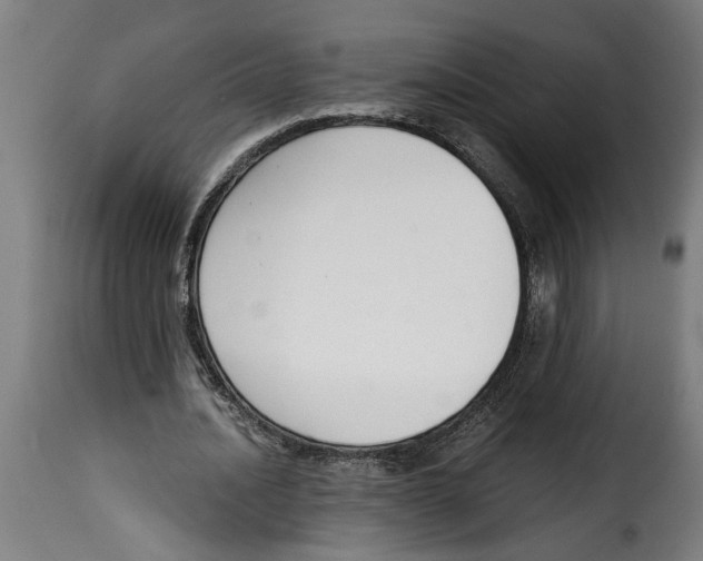 X0000115000628200911231205