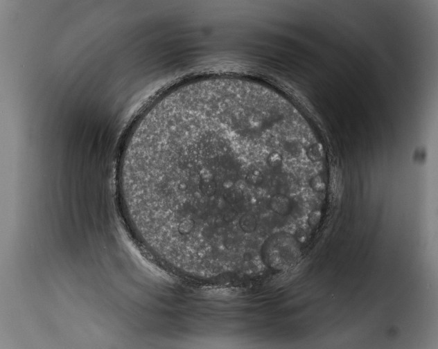 X0000115000629200911231205