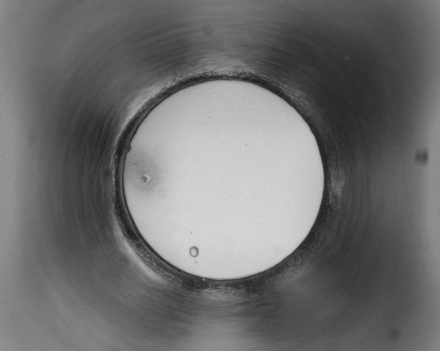 X0000115000630200911231205