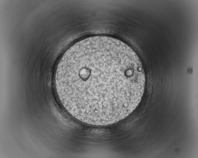 X0000115000631200911231205