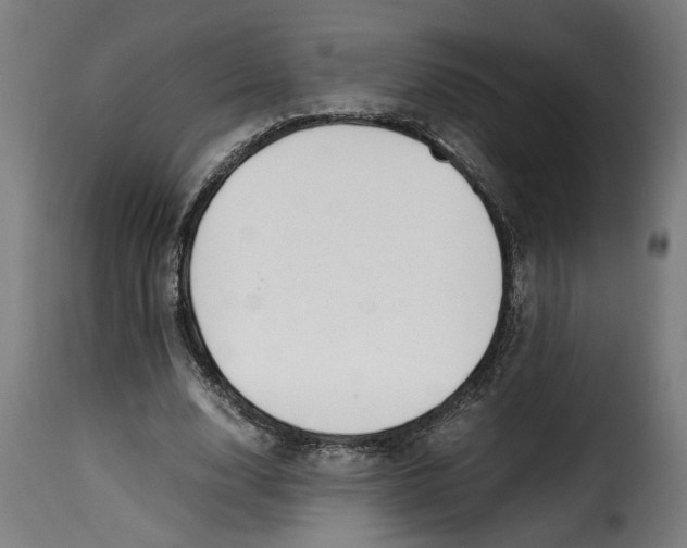 X0000115000632200911231205