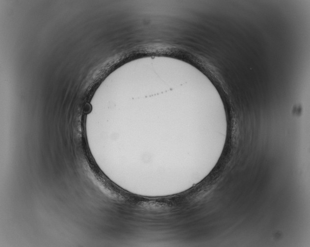 X0000115000633200911231205