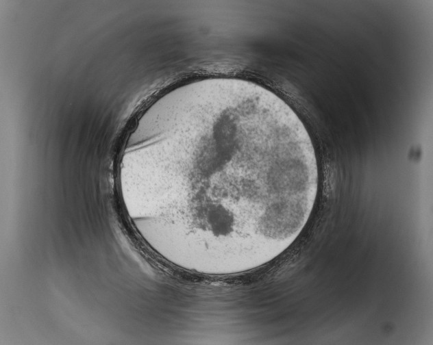 X0000115000634200911231205