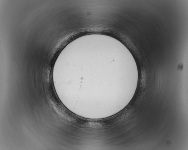 X0000115000636200911231205