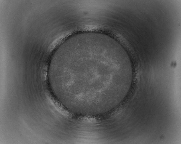 X0000115000640200911231205