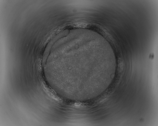 X0000115000641200911231205