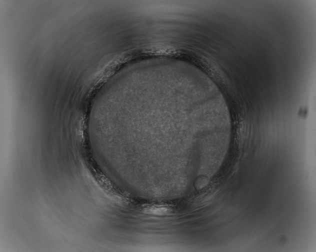 X0000115000643200911231205