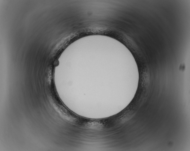 X0000115000644200911231205