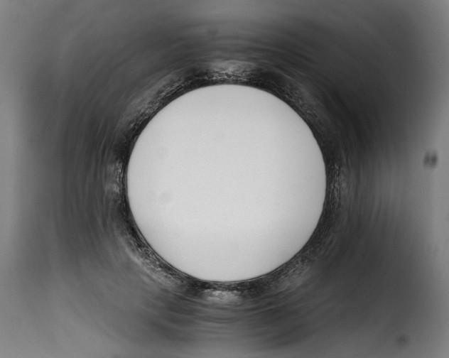 X0000115000649200911231205