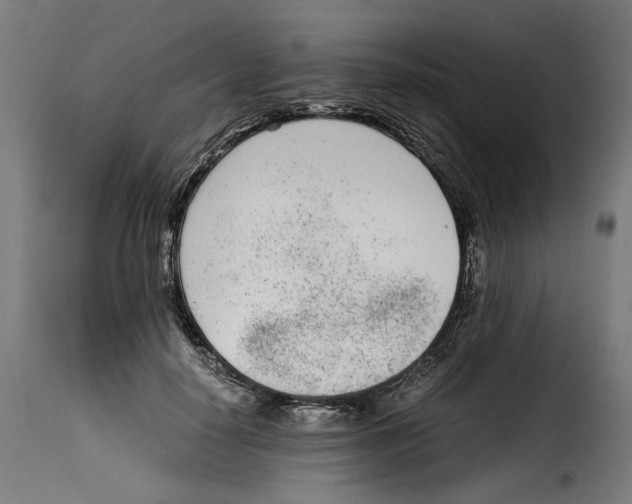 X0000115000650200911231205