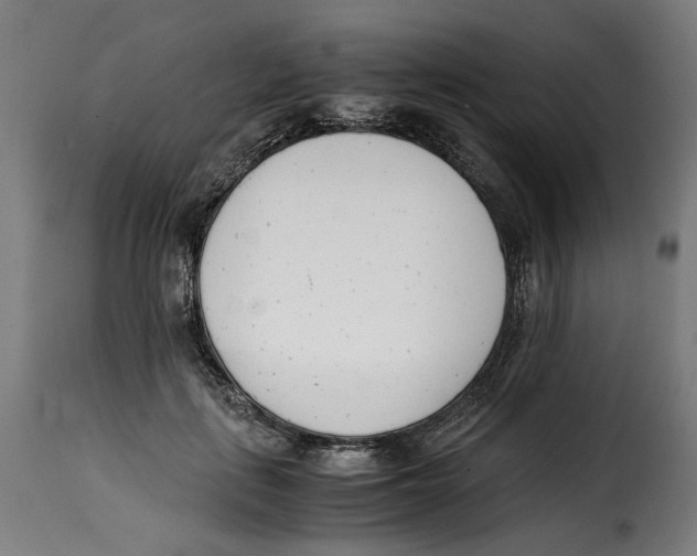 X0000115000651200911231205