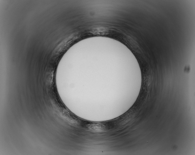 X0000115000652200911231205