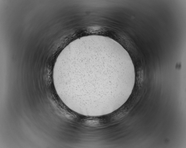 X0000115000653200911231205