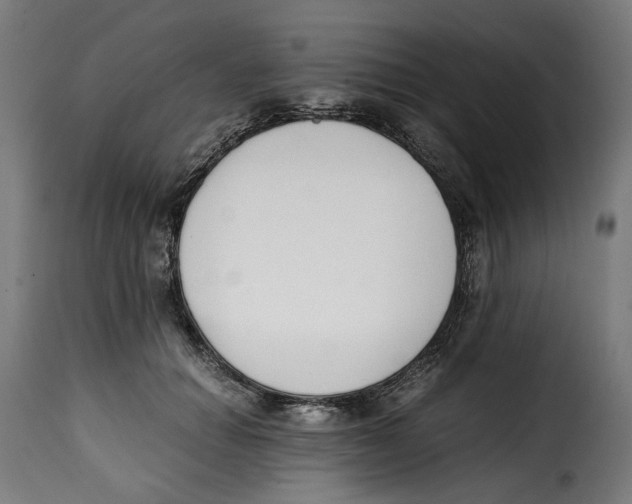 X0000115000654200911231205