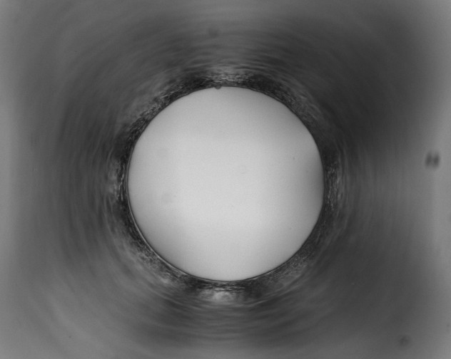 X0000115000655200911231205