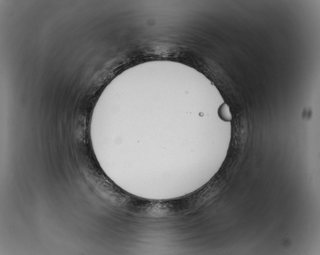 X0000115000656200911231205