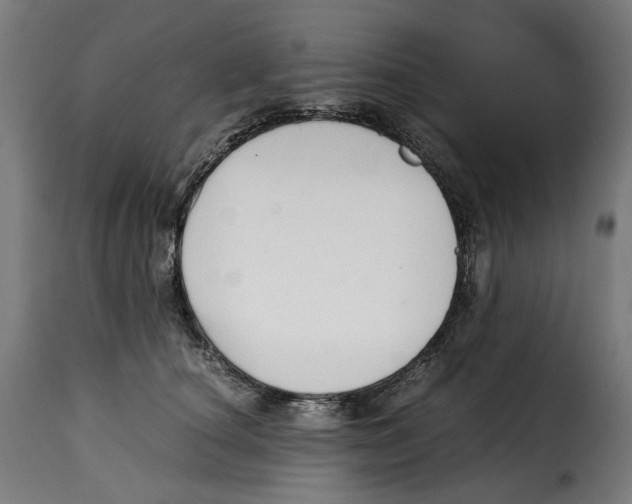 X0000115000660200911231205