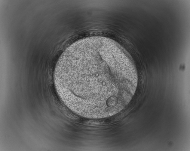 X0000115000661200911231205