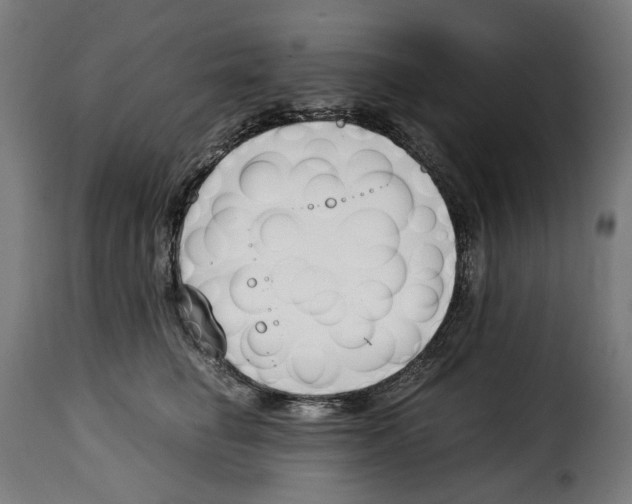 X0000115000662200911231206