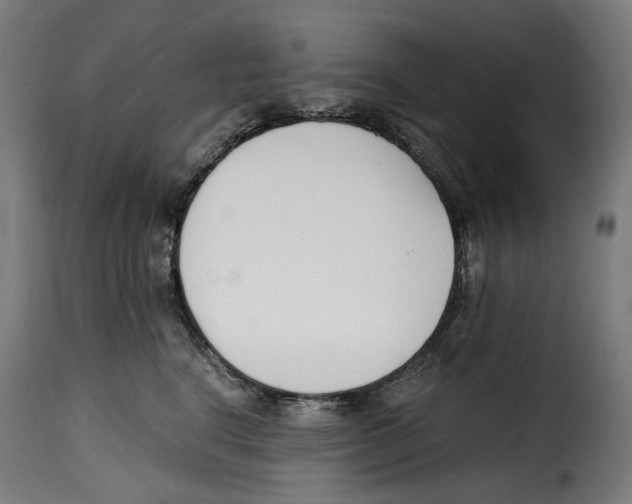 X0000115000664200911231206